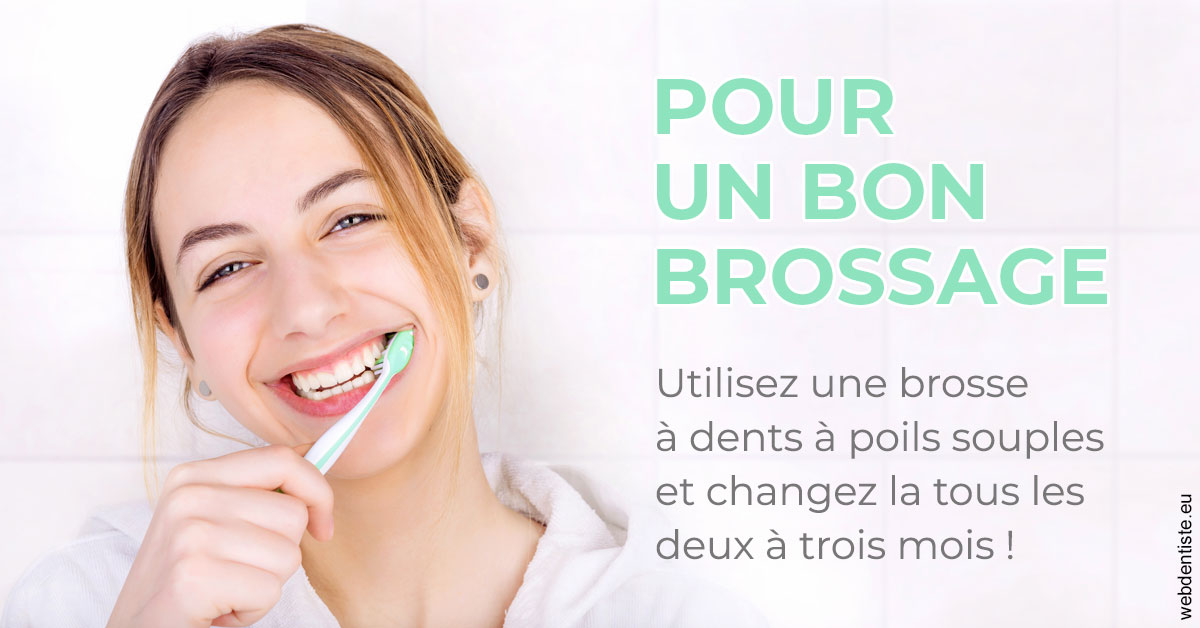 https://dr-poty-luc.chirurgiens-dentistes.fr/Pour un bon brossage 2