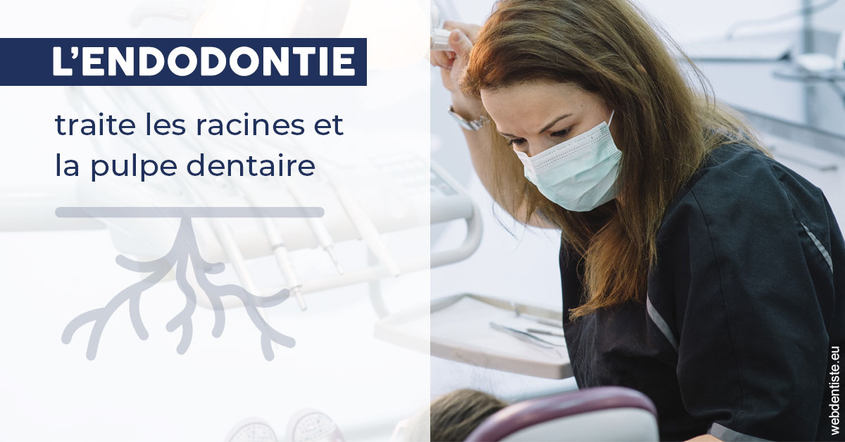 https://dr-poty-luc.chirurgiens-dentistes.fr/L'endodontie 1