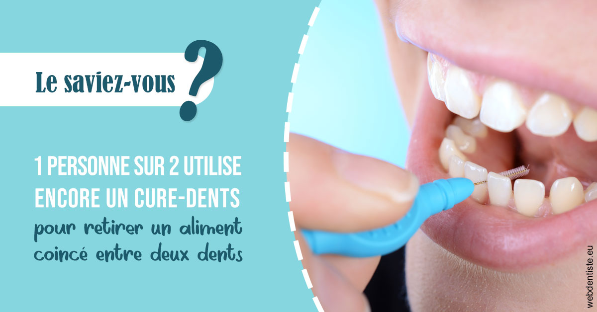 https://dr-poty-luc.chirurgiens-dentistes.fr/Cure-dents 1